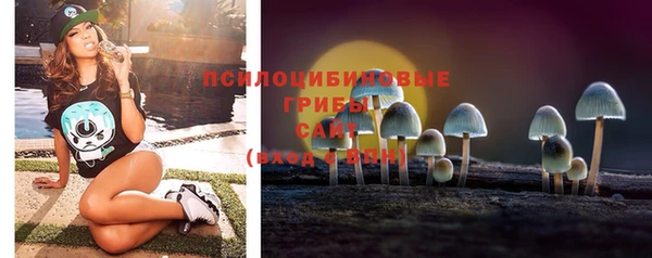 PSILOCYBIN Беломорск