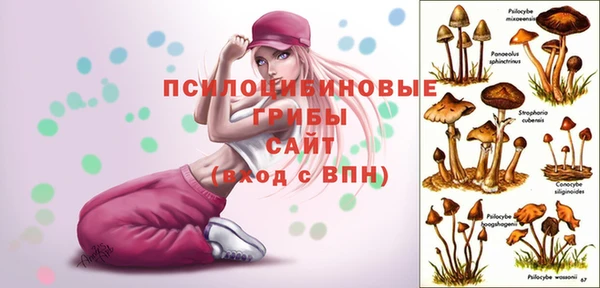 стафф Белокуриха